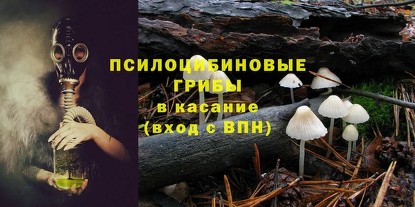 прущая мука Армянск