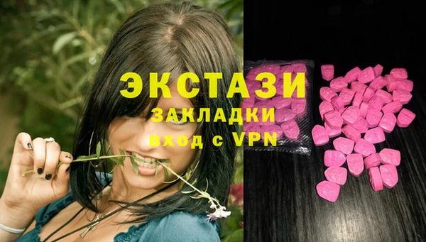 шишки Тавда