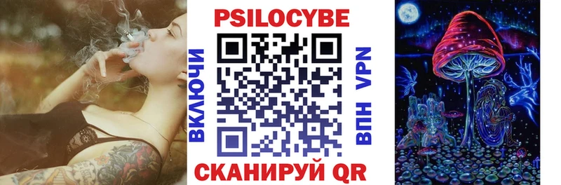 ОМГ ОМГ tor  Безенчук  Галлюциногенные грибы GOLDEN TEACHER 